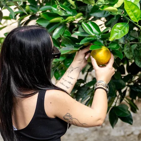 Corte Mercurio فندق مبيت وإفطار أُجينتو