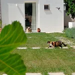 Corte Mercurio فندق مبيت وإفطار