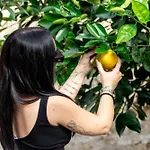 Corte Mercurio فندق مبيت وإفطار أُجينتو