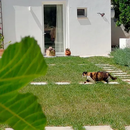 Corte Mercurio Bed & Breakfast