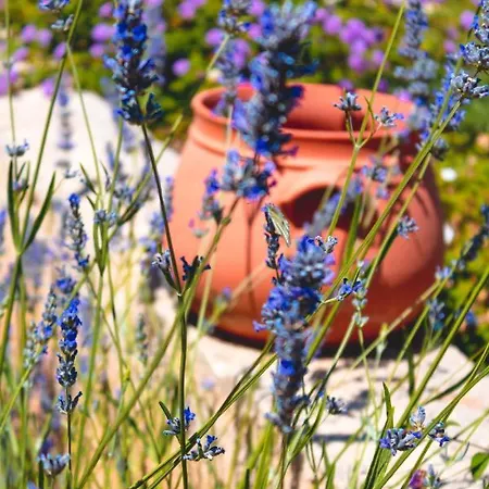 Corte Mercurio Bed and Breakfast 4*