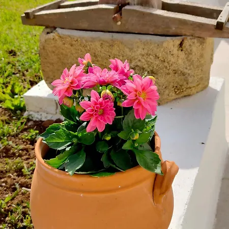 Bed and Breakfast Corte Mercurio 4*