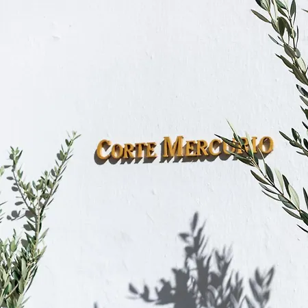 Alojamento de Acomodação e Pequeno-almoço Corte Mercurio 4*