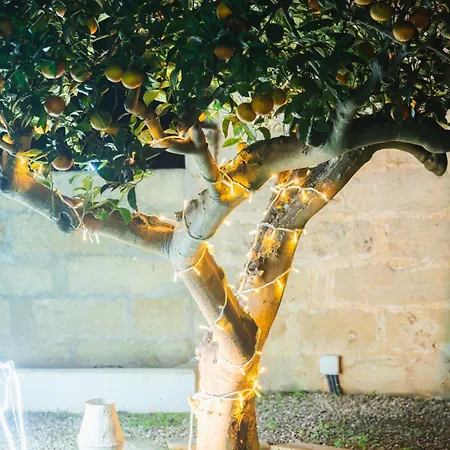 Corte Mercurio Bed & Breakfast 4*