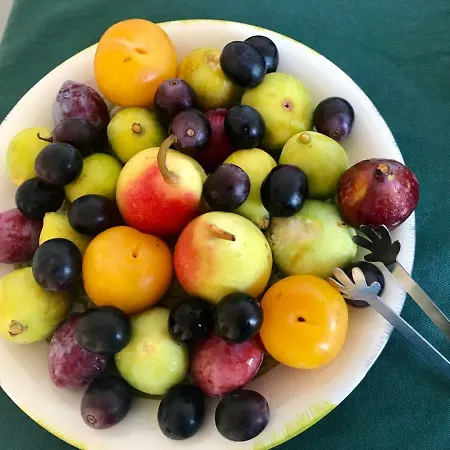 Bed & Breakfast Corte Mercurio